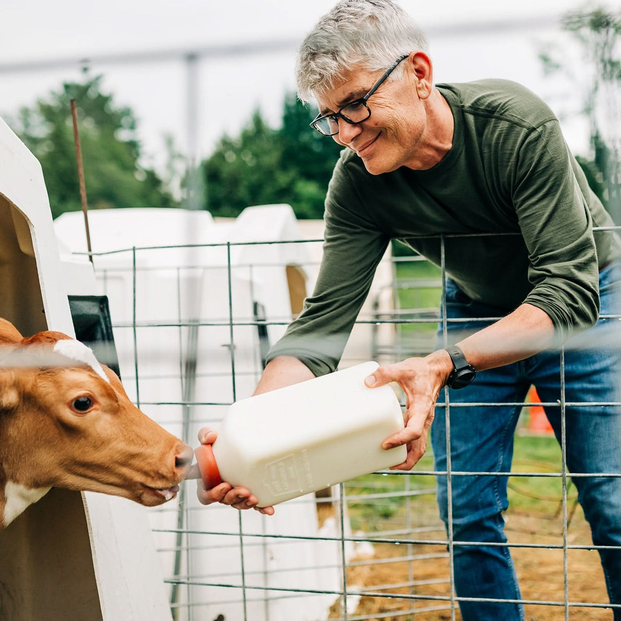 Lightweight Men's Wool Crew - 100% Merino Wool