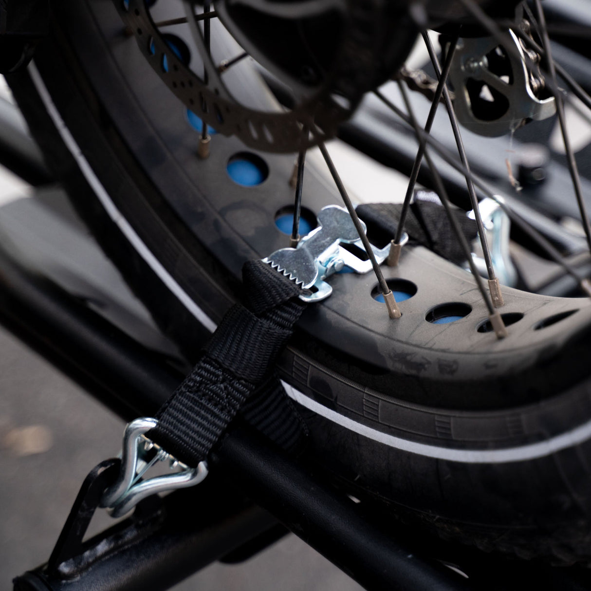 MotoTote | TireBelt Tie Down