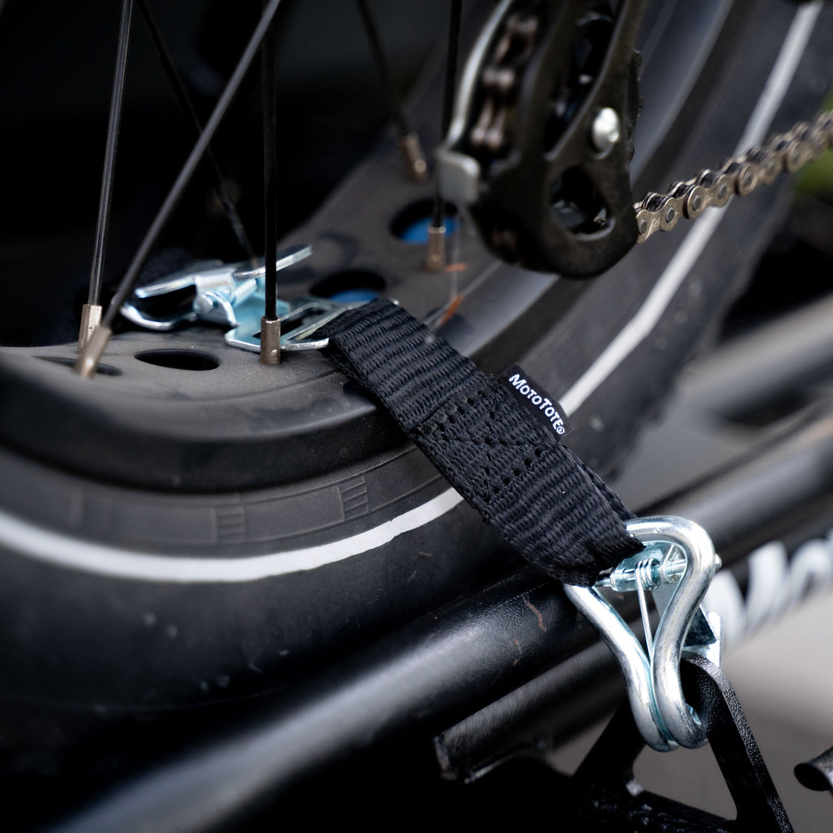 MotoTote | TireBelt Tie Down