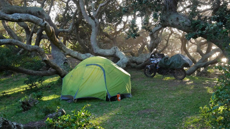 A Backyard Adventure That Feels like Riding Around the World: Exploring the Majestic Rain Forests of the Pacific Northwest - Moto Camp Nerd - motorcycle camping