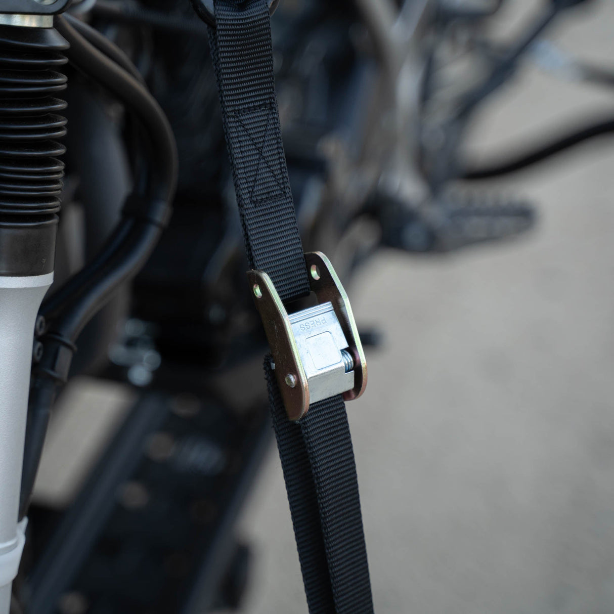 MotoTote | SafeLoop Cam Buckle Tie Downs