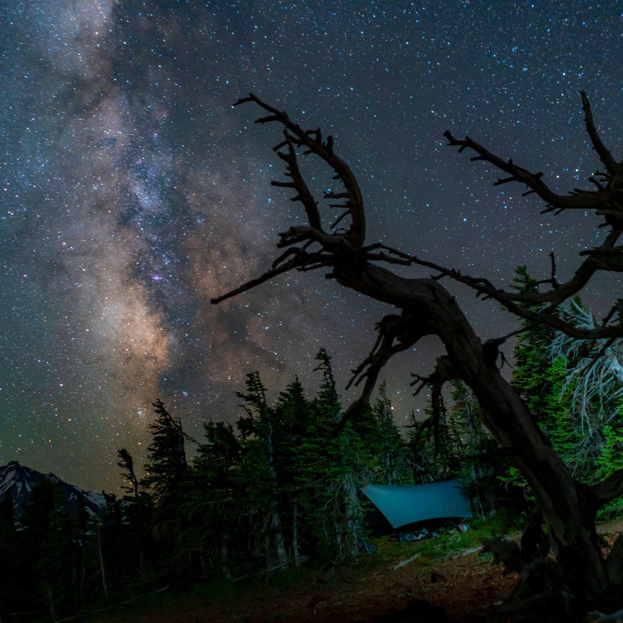 Air Bivy All Weather Shelter & Hammock - Moto Camp Nerd - motorcycle camping